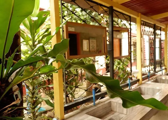Island Breeze -